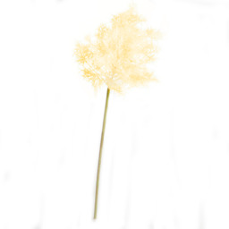 Artificial Single Tall Ivory Flowering Smoke Bush Spray Stem L86cm - White - thumbnail 5