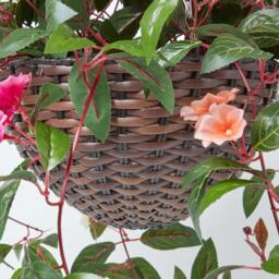 Homescapes White, Orange and Pink Impatiens Hanging Basket, 85 cm - Multi - thumbnail 3