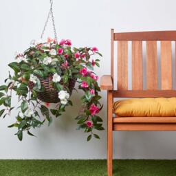 Homescapes White, Orange and Pink Impatiens Hanging Basket, 85 cm - Multi - thumbnail 2