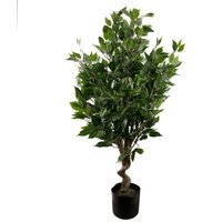 Artificial Evergreen Ficus Tree - Green / 55cm / 25cm / 110cm