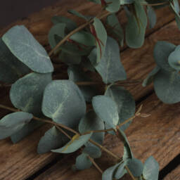 Variegated Eucalyptus Faux Botanical Nature Inspired Decor - Green - thumbnail 4