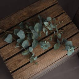 Variegated Eucalyptus Faux Botanical Nature Inspired Decor - Green - thumbnail 3