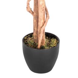 Homescapes Red and Green Artificial Capensia Tree with Real Wood Trunk, 4 Ft - Red and green - thumbnail 4
