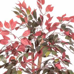 Homescapes Red and Green Artificial Capensia Tree with Real Wood Trunk, 4 Ft - Red and green - thumbnail 3
