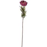 Autumn Spider Chrysanthemum Autumnal Flower Accent - Purple - image 1