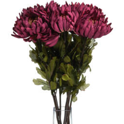 Autumn Spider Chrysanthemum Autumnal Flower Accent - Purple - thumbnail 3