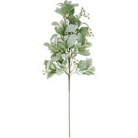Winter Sprig With Lambs Ear And Wax Flower Arrangement - Green - image 1