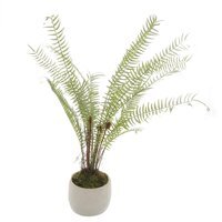 Potted Boston Fern Faux Botanical Nature Inspired - Green