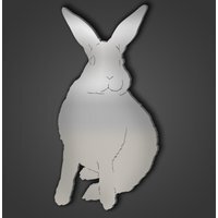 Rabbit Style 6 Silver Acrylic Mirror - Silver / 45.1cm / Engraved - thumbnail 1