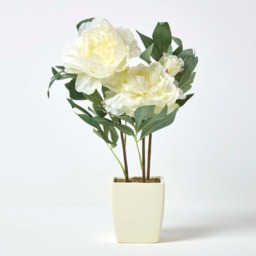 Homescapes Cream Artificial Peonies in Decorative Cream Pot, 48 cm Tall - Natural - thumbnail 3