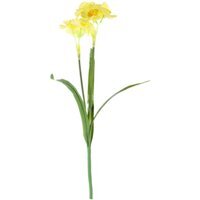 Essential Yellow Narcissus Plant with Leaves 4 Pack - Yellow