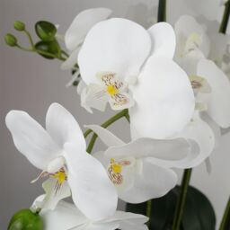 Orchid Artificial White Gold Ceramic Planter - 60cm White / Gold Planter - thumbnail 4