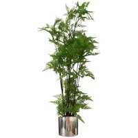 Artificial Natural Moss Base Fern - Moss Fern Large Silver