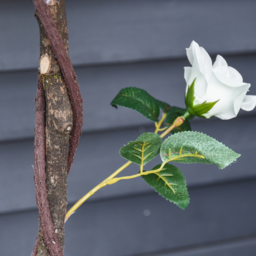 Outsunny Artificial Rose Flower Trees - White - thumbnail 2