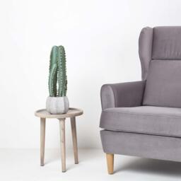 Homescapes Hylcocereus Artificial Cactus In Decorative Stone Pot, 49 cm Tall - Green - thumbnail 2