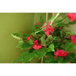 Pink Japanese Artificial Silk Bougainvillea Tree - Japanese Blossom - thumbnail 2