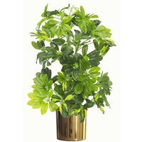 75cm Golden Capella Plant with Metal Planter - Green