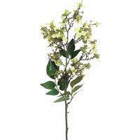 Artificial Daphne Spray 52 cm - Light Green - thumbnail 1