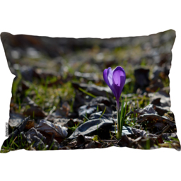 Autumn Flower Bloom In Nature Cushion - Purple - thumbnail 2