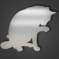 Cat Style 8 Silver Acrylic Mirror - Silver / Large