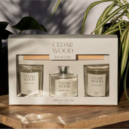 Scented Candle Gift Set  - Clear  / Cedar Wood - thumbnail 3