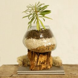 Molten Glass on Wood Bowl Handmade Recycled Glass Bali Gamel Stand - Turquoise - thumbnail 2
