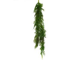 Hanging String of Pearls Fern Plant Dark Green - Green