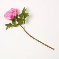 Artificial Stem of Dried Pink Peony Flowers, 48 cm - Dark Pink - thumbnail 1
