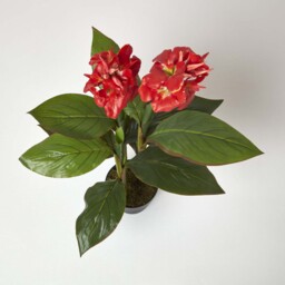Homescapes Artificial Canna Lily Plant, 90 cm Tall - Green - thumbnail 4