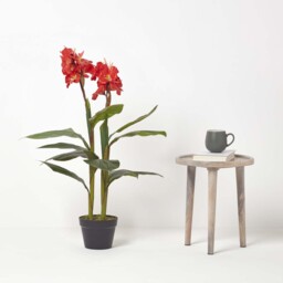 Homescapes Artificial Canna Lily Plant, 90 cm Tall - Green - thumbnail 3