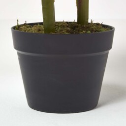 Homescapes Artificial Canna Lily Plant, 90 cm Tall - Green - thumbnail 5