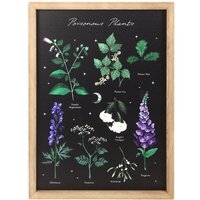 Poisonous Plants Framed Wall Art Print - Black