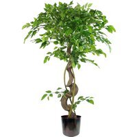 Twisted Trunk Artificial Japanese Fruticosa Style Ficus Tree Metal Pot - Green