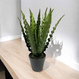 Artificial Botanic Bird Nest Fern Plant with Pot 36cm - Green - thumbnail 3