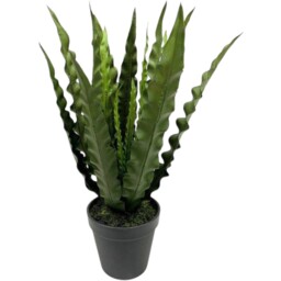 Artificial Botanic Bird Nest Fern Plant with Pot 36cm - Green - thumbnail 2