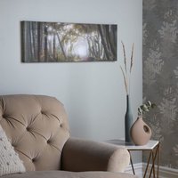 Art for the Home Woodland Wander LED Printed Canvas - White - thumbnail 1