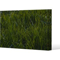 Fresh green grass background, natural grass Canvas Print - Green / 51cm / 77cm - image 1