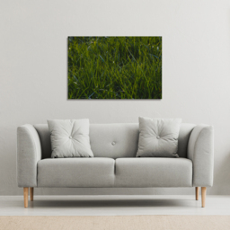 Fresh green grass background, natural grass Canvas Print - Green / 51cm / 77cm - thumbnail 2