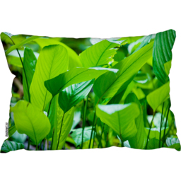 Green Leaf Background Abstract Of Nature Cushion - Green - thumbnail 2