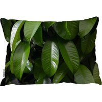 Closeup Of Beautiful Glossy Green Leaves Outdoor Cushion - Green - image 1