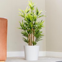 Artificial Bamboo Indoor Plant - Green / 90cm