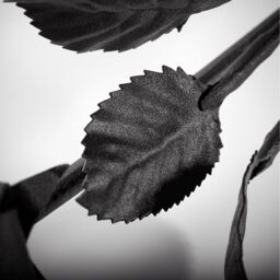 World of Nature Handcrafted Iron Rose for Anniversary - Black Forged Iron - Black - thumbnail 5