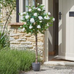 Artificial White Rose Bush Tree  - White - thumbnail 2