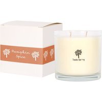 Soy Wax Scented Candle - 400g - Pumpkin Spice