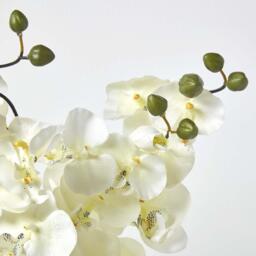 Homescapes Large Oriental Style Orchids in Black Bowl - Cream - thumbnail 4