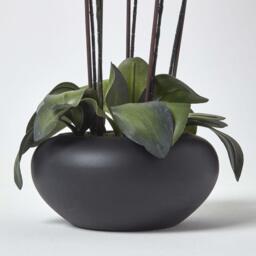 Homescapes Large Oriental Style Orchids in Black Bowl - Cream - thumbnail 3