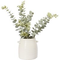 Eucalyptus in Ceramic Pot  - White