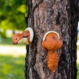 Red Squirrel Tree Peeker  - Orange - thumbnail 2