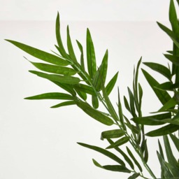 Homescapes Green 3ft Bamboo Tree Artificial Plant with Pot, 95 cm - Green - thumbnail 5
