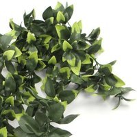Artificial Hanging Plants Multipacks Fire Resistant UV Resistant - 6 x 71cm Pothos / 71cm / 10cm - image 1